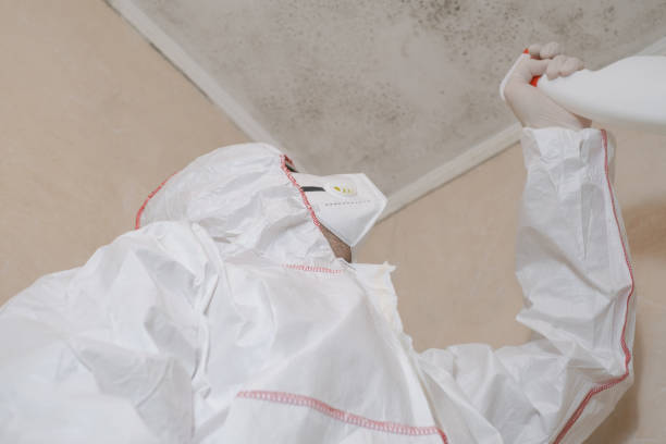 Best Mold Testing  in Kittery Point, ME